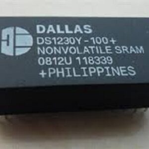 DS1230Y-100