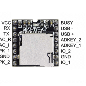 DF PLAYER MODULE