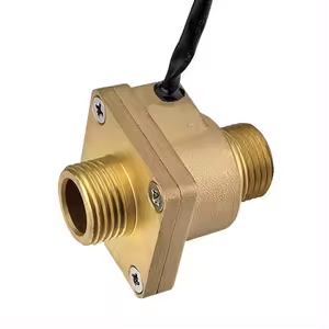 Flow Switch G1/2" 250V/برنجی